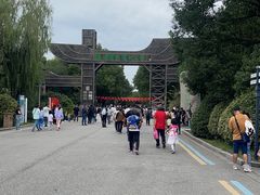 -溱湖国家湿地公园