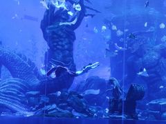 -哈尔滨波塞冬海底世界