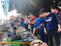 -南沙十九涌渔人码头-南门