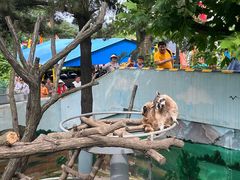 -西霞口神雕山野生动物世界