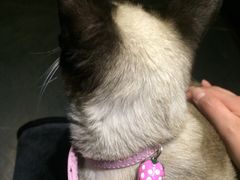 -吱咖啡西式简餐