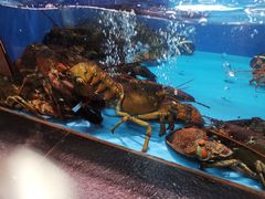 -徐记海鲜(明德门店)