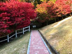 -神户市立六甲山牧场