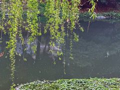 -蜀冈西峰生态公园