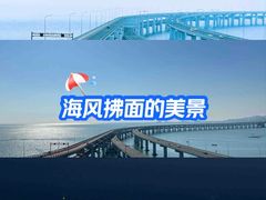 -星海湾跨海大桥