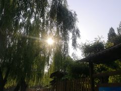 -黄村公园