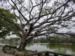 -江心屿景区