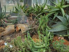 -国家植物园南园