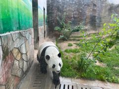 -青藏高原野生动物园