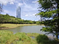 -莲花山公园