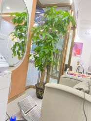 点击看大图 -希梵尔头皮抗衰·科技养发