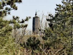 -西海子公园