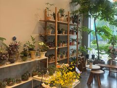 -dotcom coffee古点咖啡(致真大厦店)