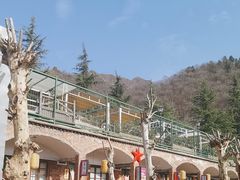 -老版火锅.12年西安排队王(沣峪口店)