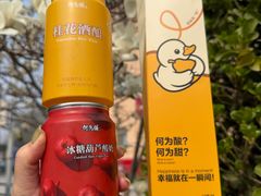 -大鸭梨烤鸭(望京店)