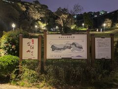 -金鸡山公园