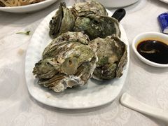 -鹅城