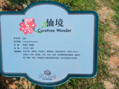 -亚龙湾国际玫瑰谷