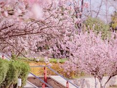 -北龙湖湿地公园