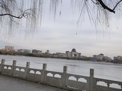 -莲花池公园
