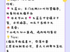 -日照灯塔风景区