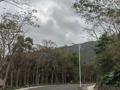 -梧桐山风景名胜区