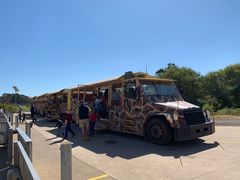 -威勒比开放式动物园