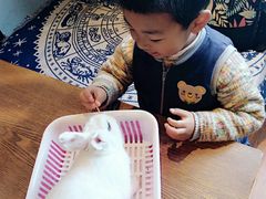 -藦茜花园宠物主题亲子互动体验馆(国顺东路店)