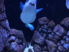 -成都浩海立方海洋公园