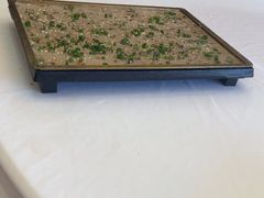 -莞香楼·正宗东莞菜(东升店)