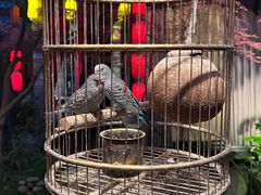 -哈哈曲艺社(西门闲亭店)