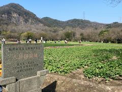 -八卦田遗址公园
