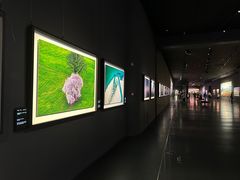 -罗红摄影艺术馆