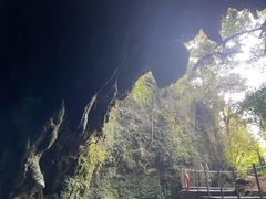 -怀托摩萤火虫洞