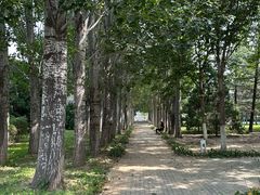 -首都师范大学(良乡校区)