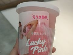 -树夏(金楠天街店)