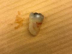 -欢乐口腔医院(顺义分院)