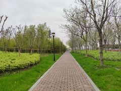 -上海山野camping·户外天幕烧烤·团建拓展营地