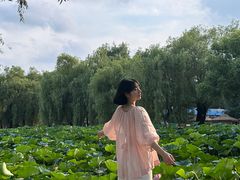 -长春市南湖公园