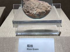 -烟台市博物馆