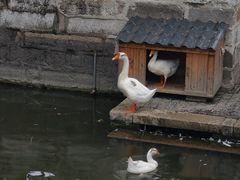 -苏州碑刻博物馆