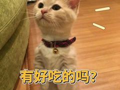 -蘑菇餐厅(小火瓦巷店)