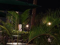 -木屋烧烤(惠阳华润小径湾店)