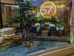 -57度湘(王府井10F店)