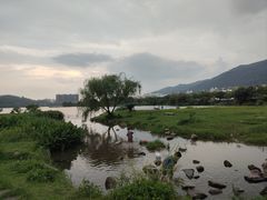 -星湖旅游景区七星岩