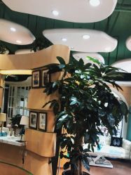 -艺米阳光Hair Salon