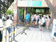 -广东惠东海龟国家级自然保护区