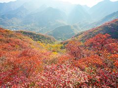 -水峪民俗村