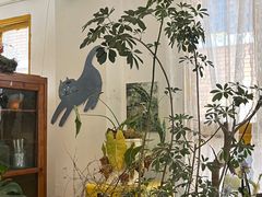 -知物癖(牛王庙店)