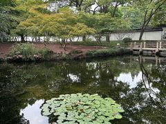 -秋霞圃